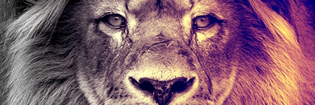 DiRod83's profile banner image