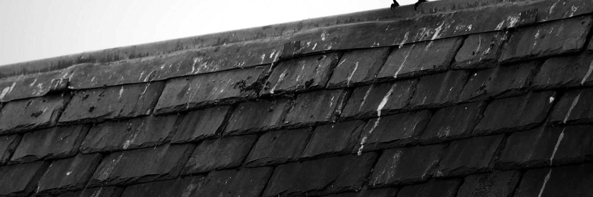_Pourya's profile banner image