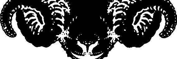 blacksheepltd1's profile banner image