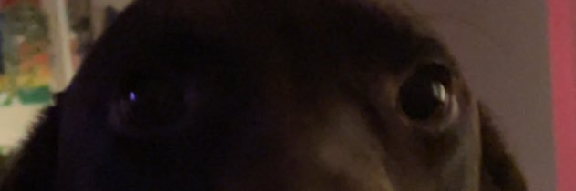 ffaiiitthhhh's profile banner image