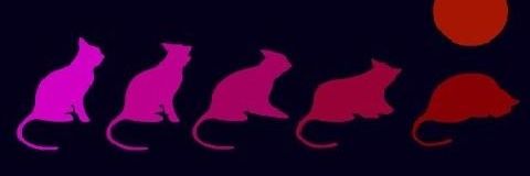 aa_mendokusai's profile banner image