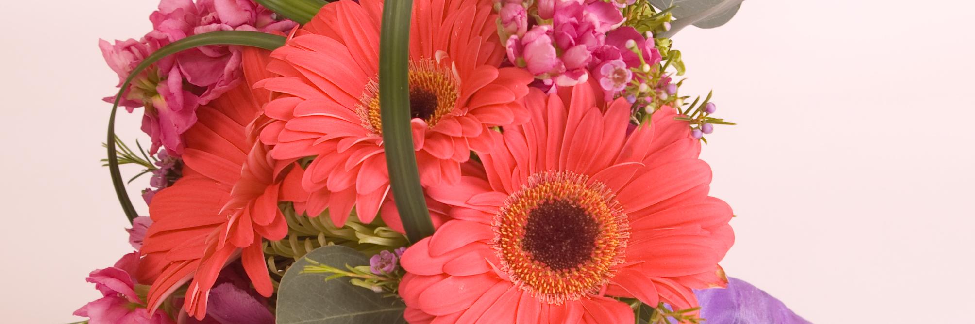 NHFlowerRoom's profile banner image