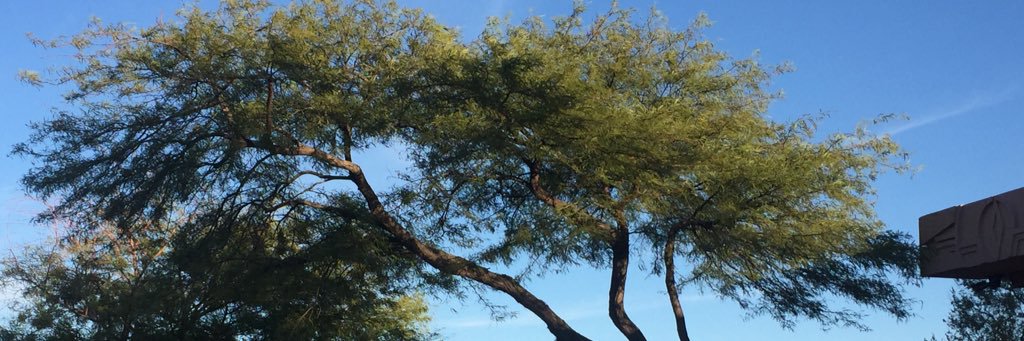 Bazillion2's profile banner image