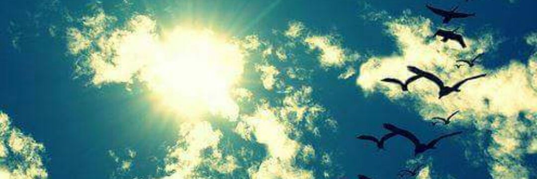 RAKI_FOZ's profile banner image