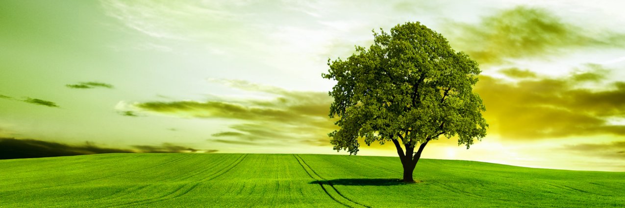 BlendwellChem's profile banner image