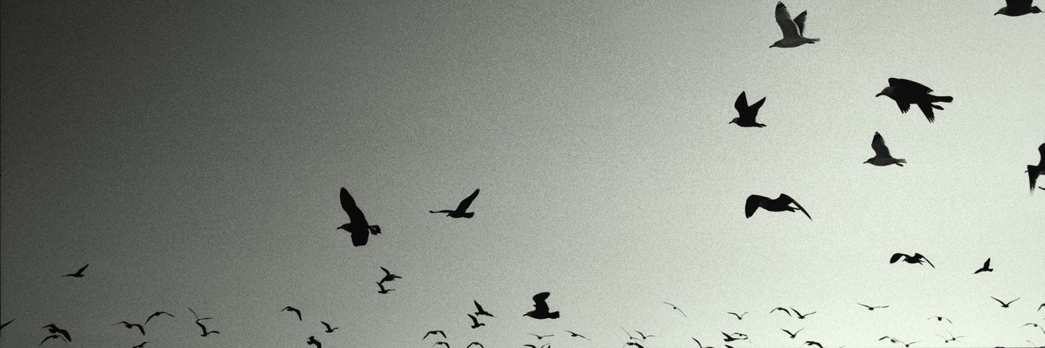 Alexisvedder's profile banner image