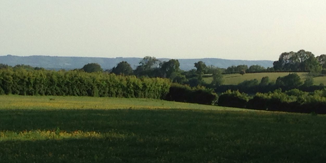 Chillies Farm Dairy banner