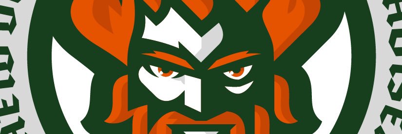 Matthew Skinn banner