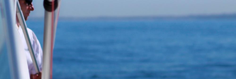 Kimberly Schneider banner