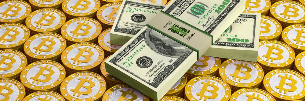 Pro_Crypto's profile banner image