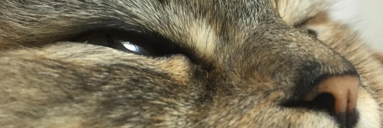 grgrprprpr's profile banner image