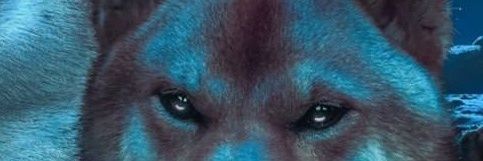 zerodip9's profile banner image