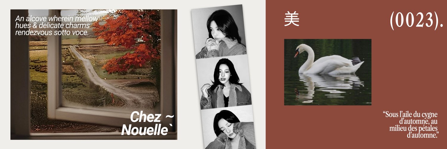 elle ☆. ! mention after dm banner