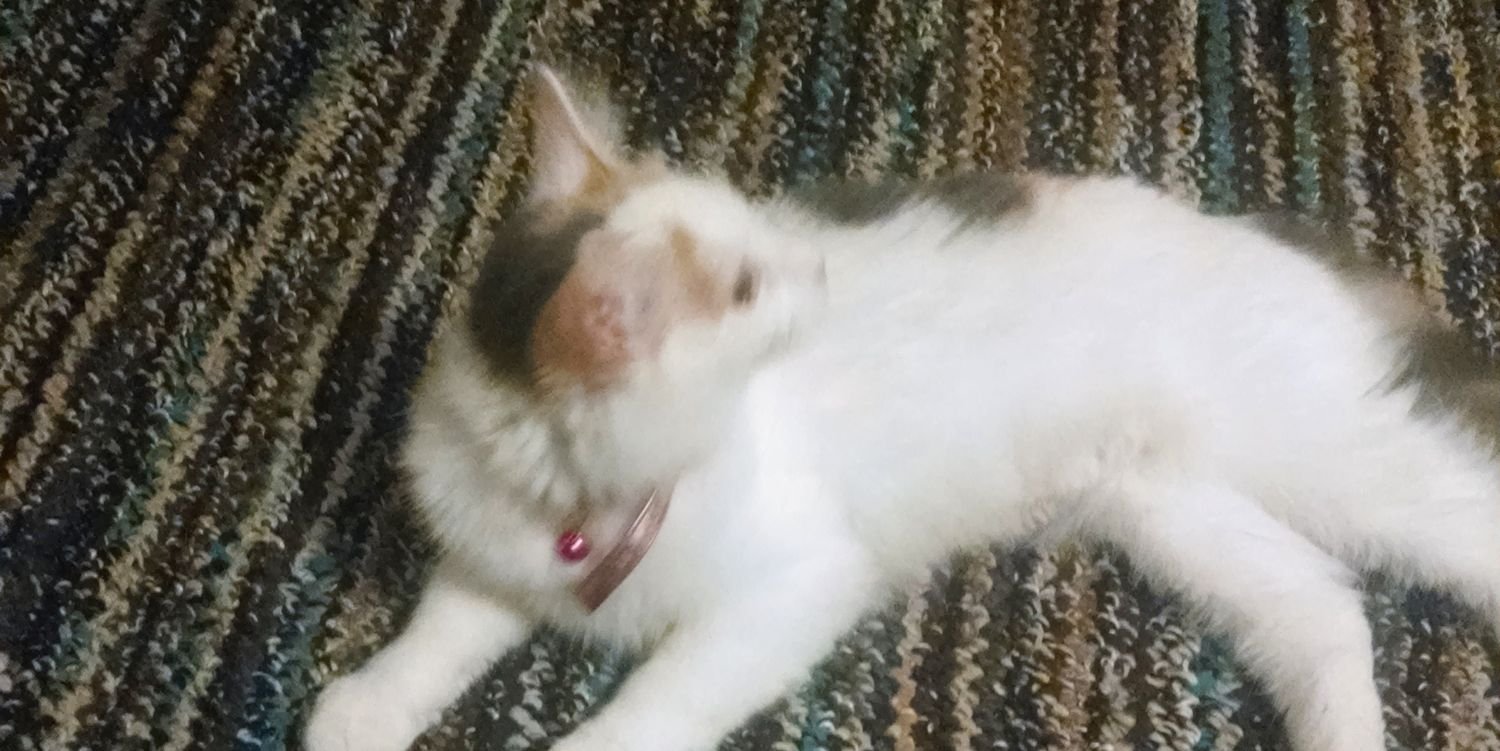 emklenk21's profile banner image