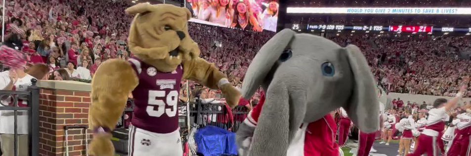 Marce Ramirez-Savage 🏴‍☠️ banner