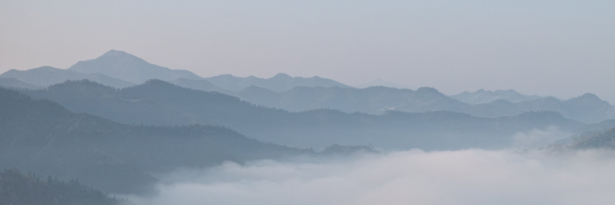 supo banner