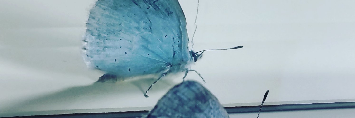 yoymachado's profile banner image