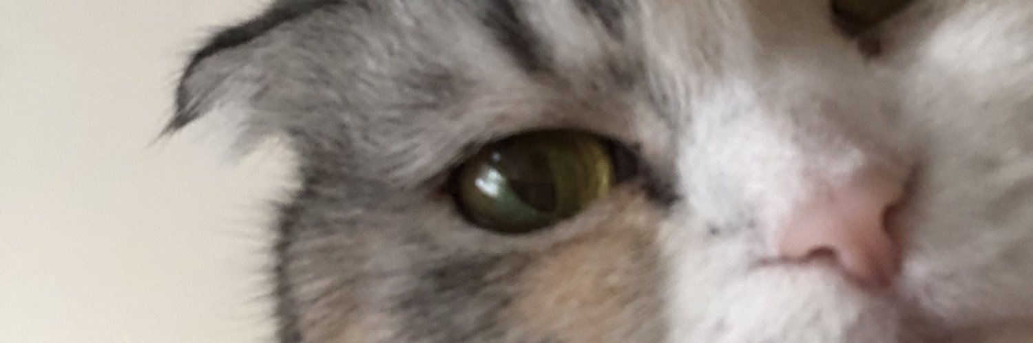 デスメカコ banner