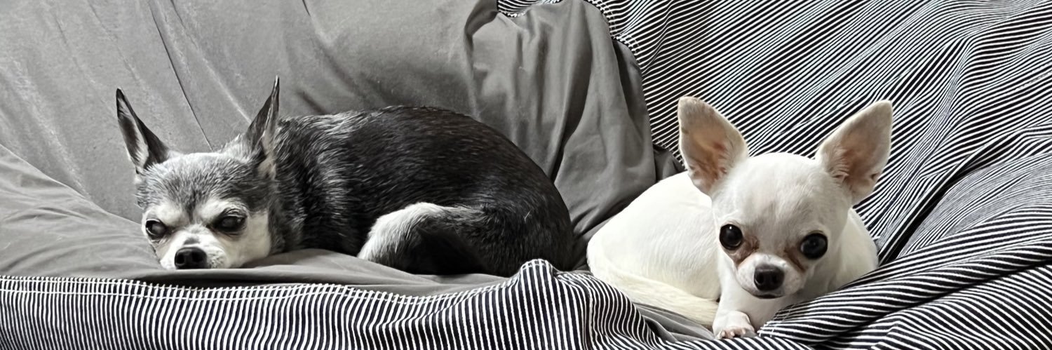 あや🐶マイロとサニィのおかん banner
