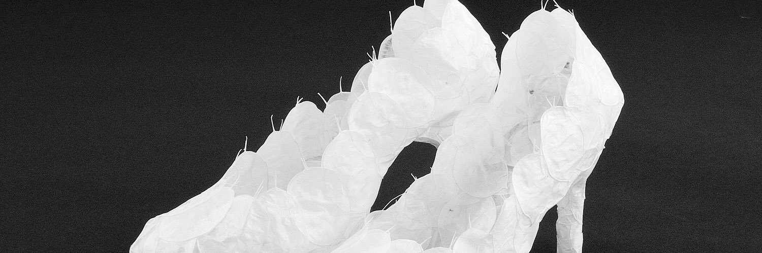 Saule_Flower's profile banner image