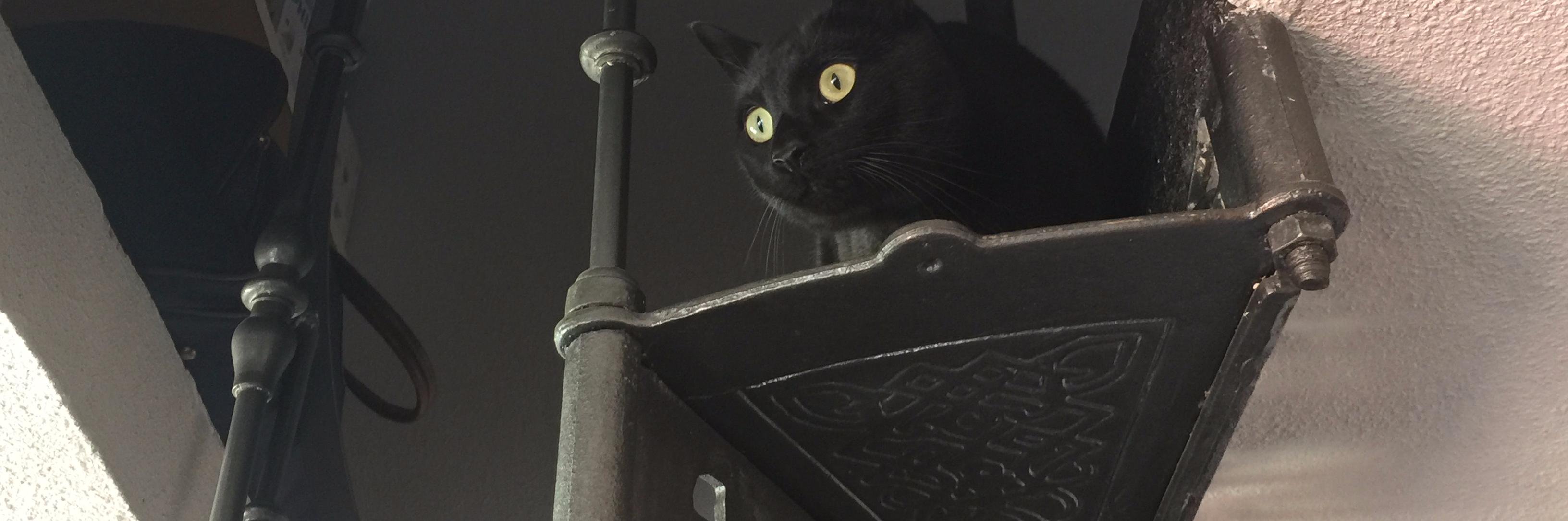 Más vale ser punki... banner