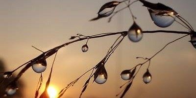 gerryconroy's profile banner image