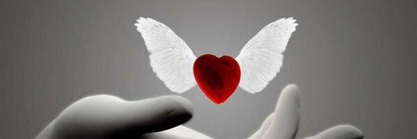 Chusvf's profile banner image