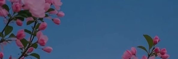 F5ofe's profile banner image