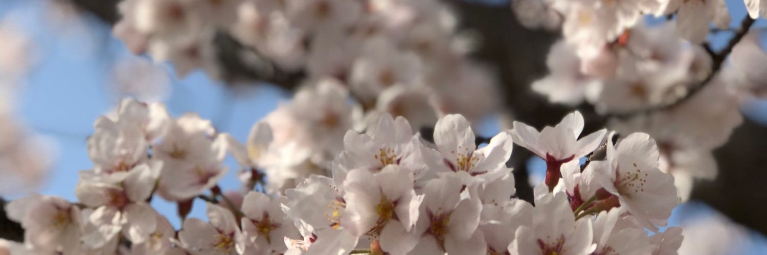 ENUGERIA's profile banner image