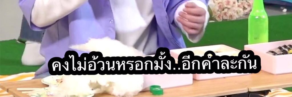 ลูกหมูตัวอ้วนกลม banner