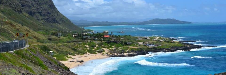 Amanda U. Lane banner