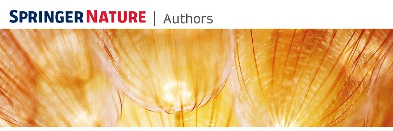 Springer Nature Authors banner