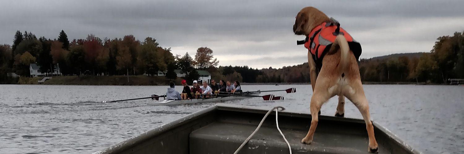 KathyLes's profile banner image