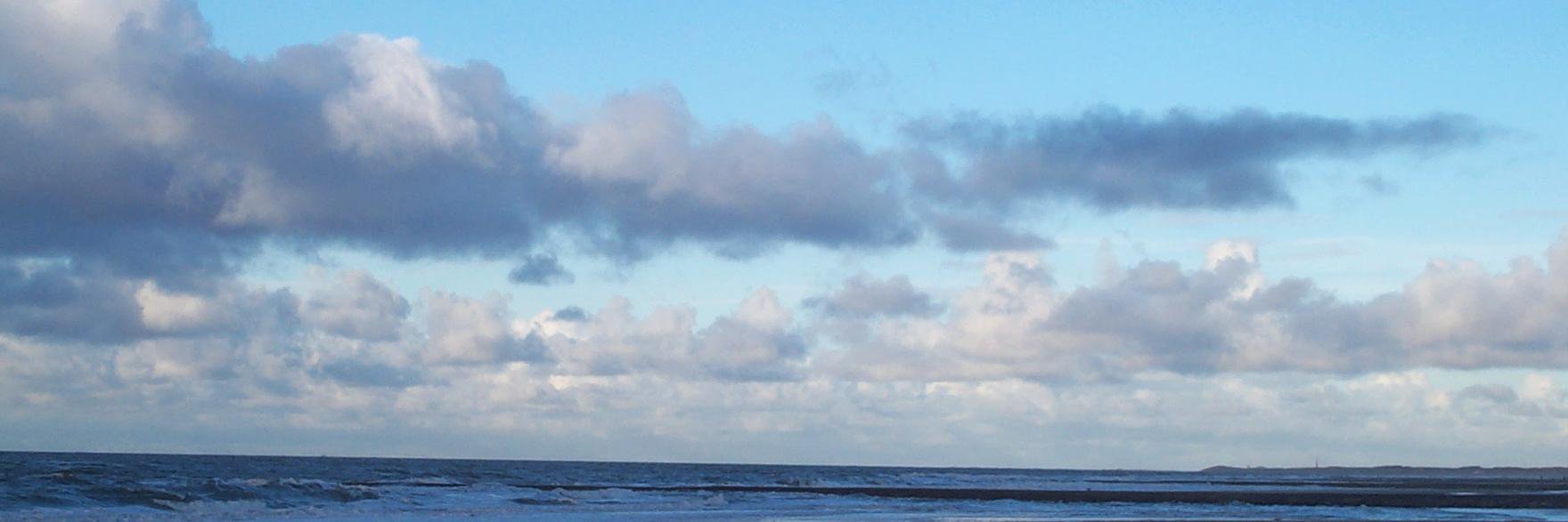 Transkultur's profile banner image