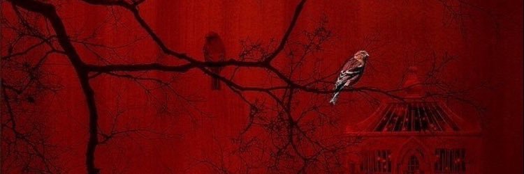 hakankurt02's profile banner image
