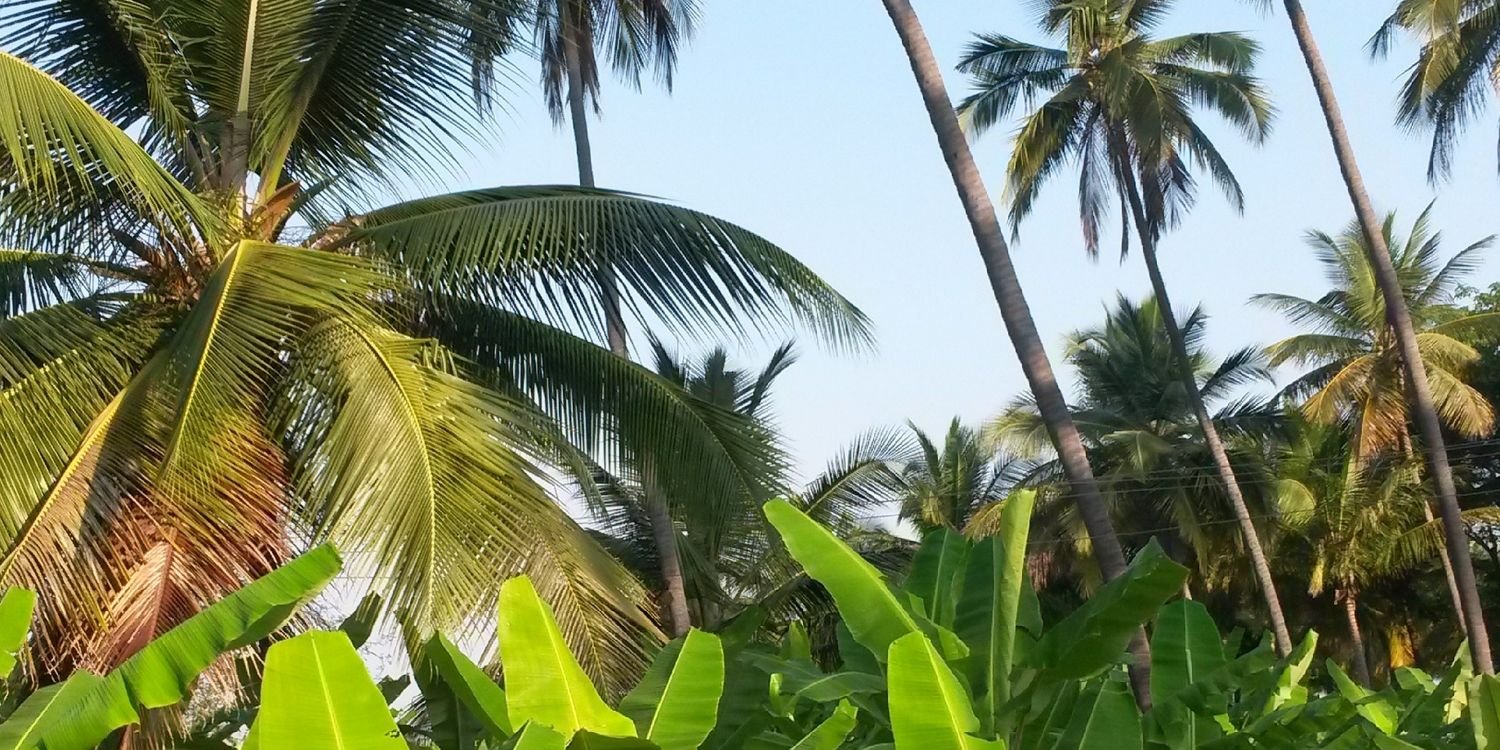 nanda_alur's profile banner image
