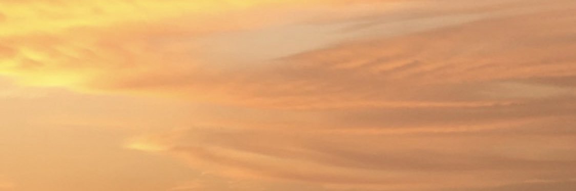 GloriaMud_'s profile banner image