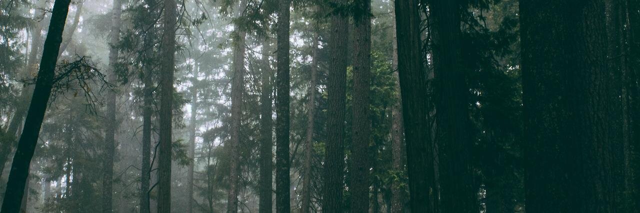 LastChanceRol's profile banner image