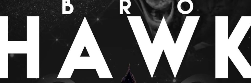 SeahawkBroHawk's profile banner image