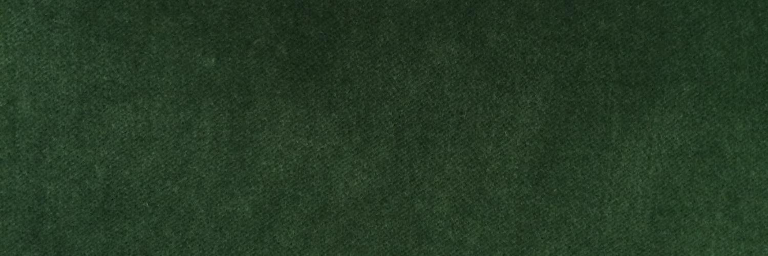 DandyLionTO's profile banner image