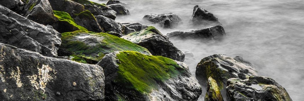 PacificBizSol's profile banner image
