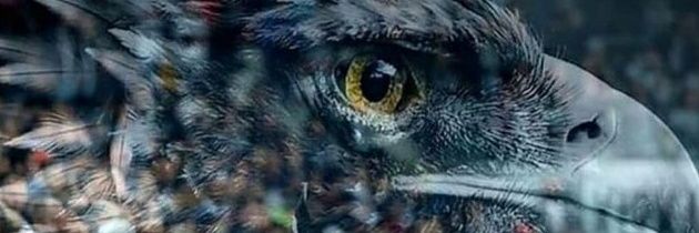 🇹🇷TolgA.Ş. banner