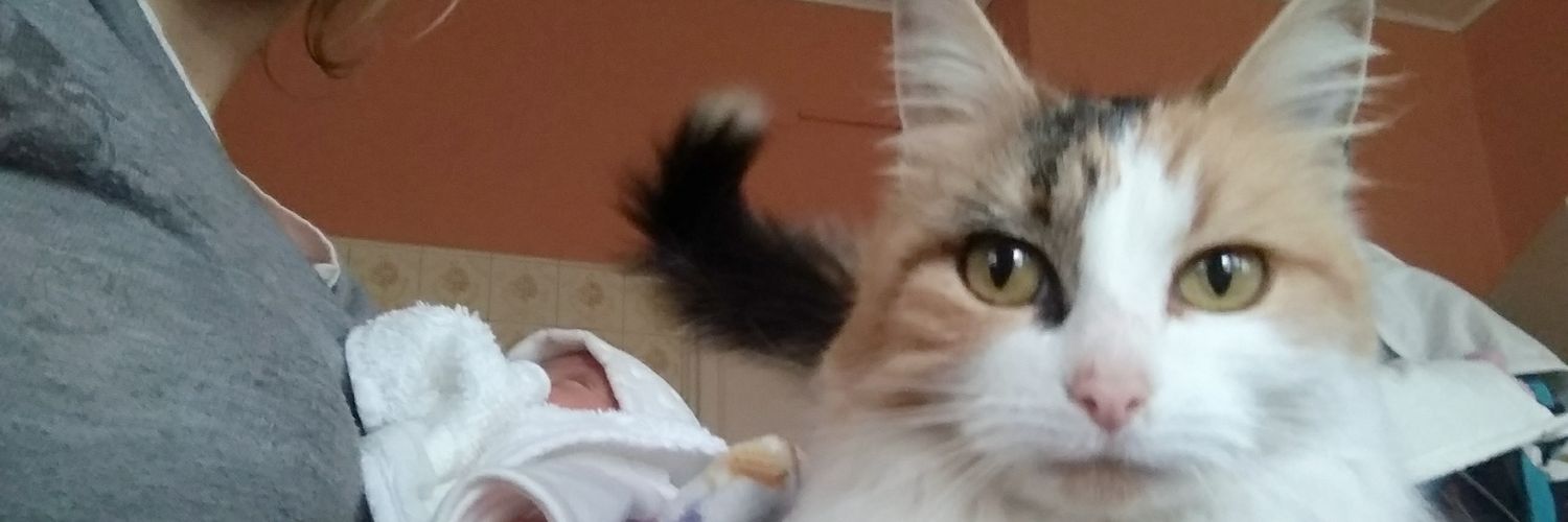 Niicanora's profile banner image