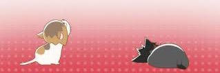 mg1269's profile banner image