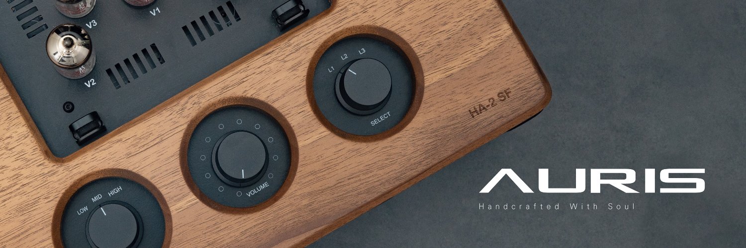 AurisAudio's profile banner image
