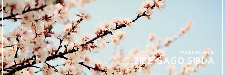 내이름은 지름왕 권 ✌️(^ㅅ^ banner
