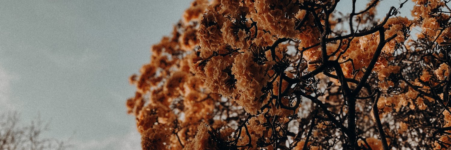 sashagabriellee's profile banner image