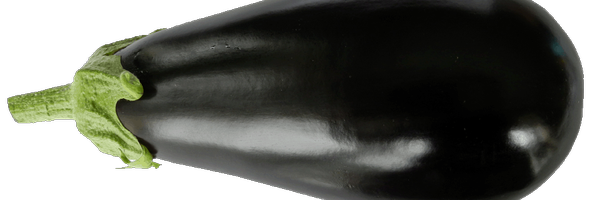 pornization Profile Banner