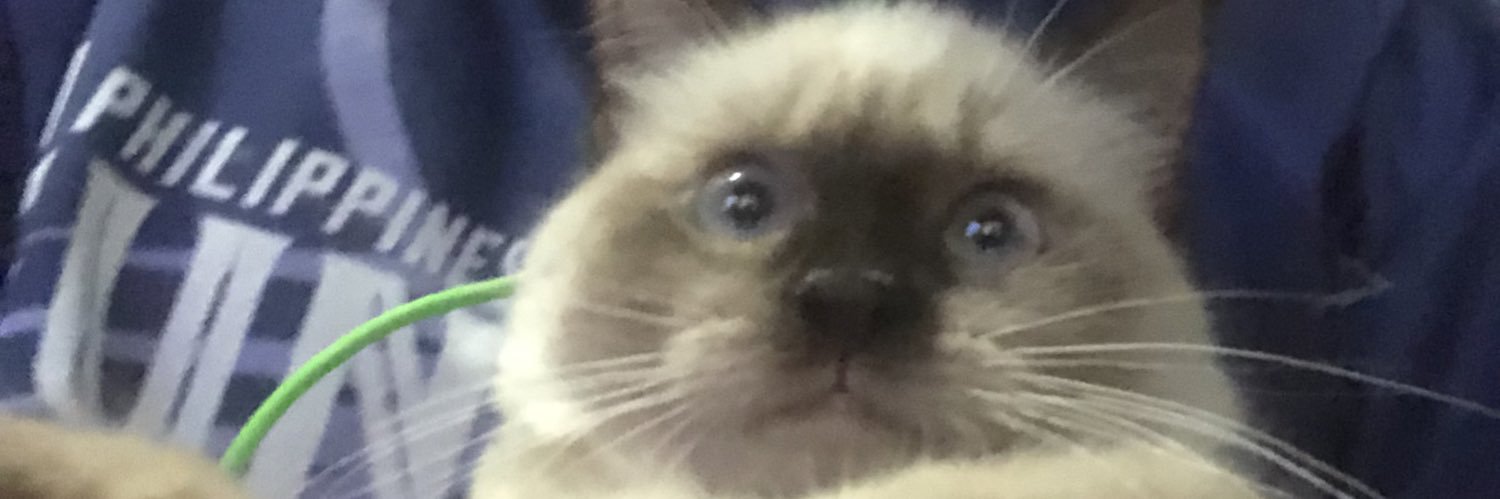 mckkyy's profile banner image