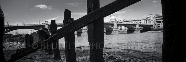 BlueflyPhoto's profile banner image